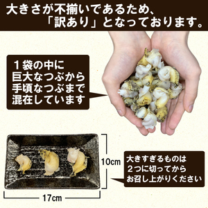 北海道鹿部町産 訳あり ”前浜ボイルつぶ ” 2kg  灯台つぶ（500g×4袋）つぶ貝 ツブ貝 海鮮 海産 刺身