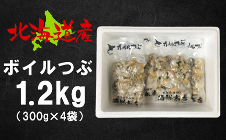 北海道鹿部町産 訳あり ”前浜ボイルつぶ ” 1.2kg（300g×4袋）つぶ貝 刺身