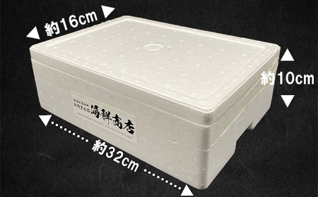 北海道鹿部町産 訳あり ”前浜ボイルつぶ ” 1.2kg（300g×4袋）つぶ貝 刺身