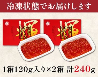 【小分けで便利！】いくら 北海道産 240g (120g×2パック) 小分け イクラ しょうゆ漬け 丸鮮道場水産 いくら丼 手巻き寿司 ご飯のお供 小分け 食べ切り 鹿部 魚卵 海鮮 魚介類 冷凍 送料無料