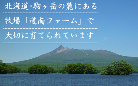 【旨みあふれる良質な赤身!】北海道産 鹿部牛 肩ロース スライス 500g