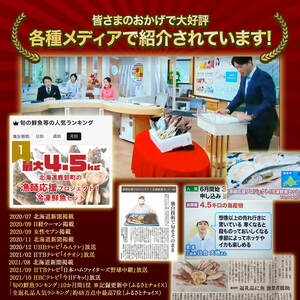 【2026年5月下旬発送】【緊急支援品】北海道 冷凍鮮魚セット 最大4.5kg 「漁師応援プロジェクト！」 下処理済み 4～5種 ホタテが必ず入る おまかせ セット 事業者支援 中国禁輸措置 魚介 訳あり セット 詰め合わせ 期間限定