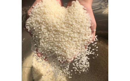 白米　コシヒカリ20kg【令和7年産】 ／ こしひかり 令和7年 新米 米 お米 おこめ こめ コメ 精米 白米 ご飯 国産米 20kg 20キロ おいしい お取り寄せ 産地直送 産直 坂東市産 茨城県産 茨城産 茨城県 特産品 No.412