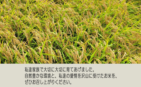 白米　コシヒカリ20kg【令和7年産】 ／ こしひかり 令和7年 新米 米 お米 おこめ こめ コメ 精米 白米 ご飯 国産米 20kg 20キロ おいしい お取り寄せ 産地直送 産直 坂東市産 茨城県産 茨城産 茨城県 特産品 No.412