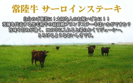 【常陸牛】サーロインステーキ　約250g×3枚＜茨城県共通返礼品＞ No.459