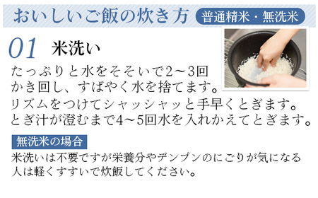 No.479 令和5年　茨城県産　もち米　ヒメノモチ（3kg＋3kg）