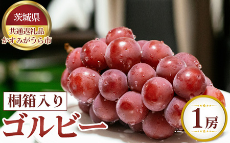 【先行予約】ゴルビー　桐箱入り1房【茨城県共通返礼品 かすみがうら市】 No.625 6,750円
