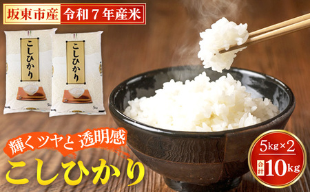 令和7年産 こしひかり10kg【坂東市産】 ／ 令和7年 新米 米 お米 こめ