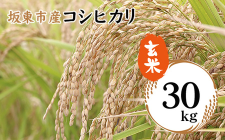 No.756 令和6年産 玄米 コシヒカリ30kg【坂東市産】 | 茨城県坂東市 | ふるさと納税サイト「ふるなび」