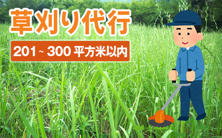 草刈り代行サービス（201～300平方メートル以内） No.758