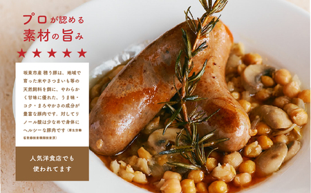 坂東市産の豚肉バラエティセット　約3kg No.841