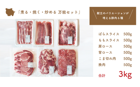 坂東市産の豚肉バラエティセット　約3kg No.841
