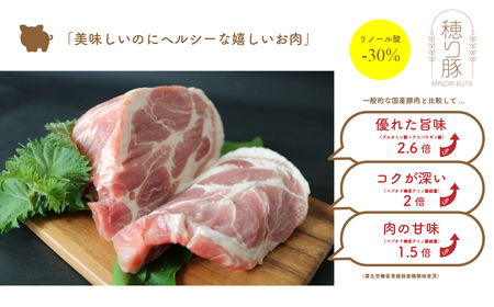 坂東市産の豚肉バラエティセット　約3kg No.841