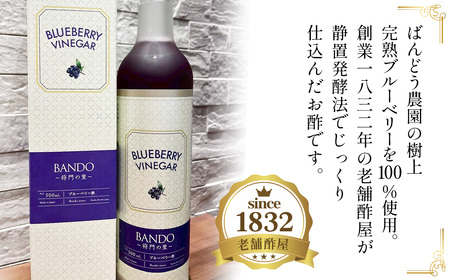 ブルーベリービネガー500ml　BANDO ～将門の里～ No.845