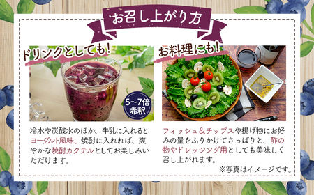 ブルーベリービネガー500ml　BANDO ～将門の里～ No.845