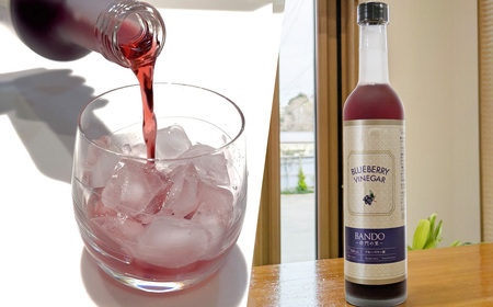 ブルーベリービネガー500ml　BANDO ～将門の里～ No.845