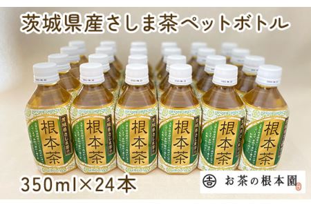 No.172 根本茶ペットボトル | 茨城県坂東市 | ふるさと納税サイト