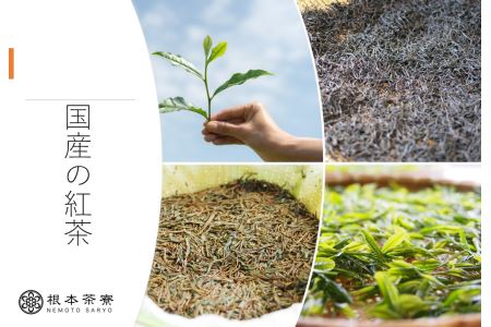 さしま和紅茶ティーバック 100個 No.173