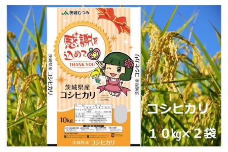 精米後発送】令和7年産 茨城県産 コシヒカリ 20kg 20キロ ① 令和7年産