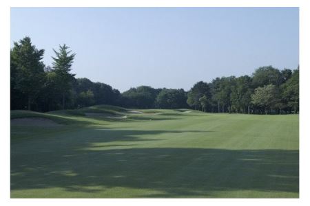 猿島カントリー倶楽部利用券9000円 ／ ゴルフ golf GOLF ごるふ ゴルフ場 チケット ちけっと 体験 プレー券 利用券 ゴルフ場利用券 チャンピオンコース アメリカンスタイル アクセス抜群 好立地 茨城県 No.150