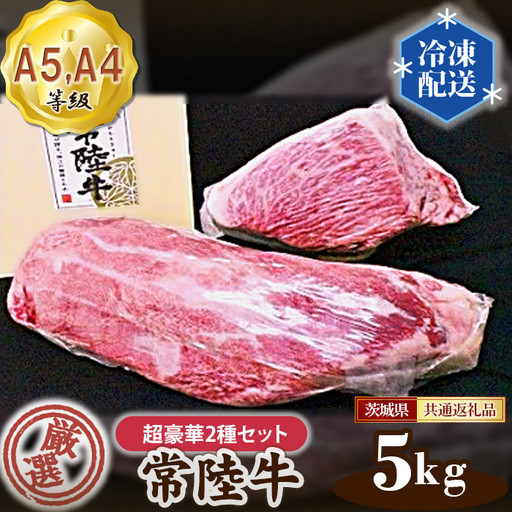 常陸牛 厳選！超豪華2種セット約5kg（A5・A4等級）＜茨城県共通返礼品＞ No.168