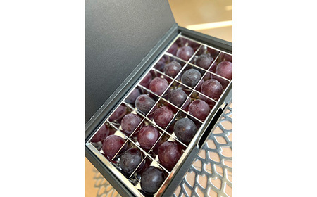 【先行予約】粒々ぶどう18粒　ナガノパープル【茨城県共通返礼品 かすみがうら市】 No.291