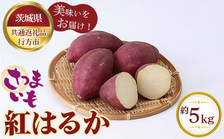 さつまいも　紅はるか　約5kg【茨城県共通返礼品 行方市】 No.328