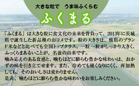 【令和6年産】稲敷市産 無洗米ふくまる 10kg (5kg×2)【農家直送】[1042]