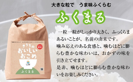 【令和6年産】稲敷市産 無洗米ふくまる 20kg (5kg×4)【農家直送】[1044]