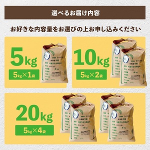 新米【令和6年産】茨城県稲敷市産 特別栽培米 あきたこまち 5kg×1袋｜米 おこめ 精米 農家直送 直送 茨城県 [1099]