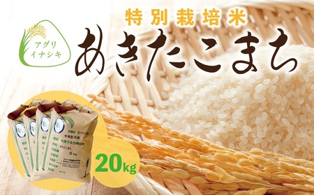 新米【令和6年産】茨城県稲敷市産 特別栽培米 あきたこまち 合計20kg (5kg×4袋)｜米 おこめ 精米 農家直送 直送 茨城県 [1101]