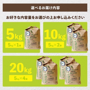 新米【令和6年産】茨城県稲敷市産 特別栽培米 コシヒカリ 5kg×1袋｜米 おこめ 精米 農家直送 直送 茨城県 [1102]