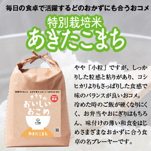 【令和6年産】稲敷市産 特別栽培米 あきたこまち 10kg (5kg×2)【農家直送】 [1670]