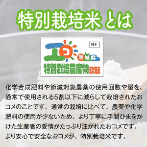 【令和6年産】稲敷市産 特別栽培米 あきたこまち 10kg (5kg×2)【農家直送】 [1670]