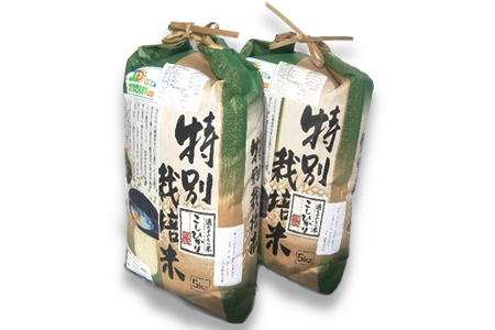 新米【令和6年産】こめ工房水飼 特別栽培米コシヒカリ 10kg (5kg×2袋)｜お米 おこめ 精米 直送 稲敷 [1080]