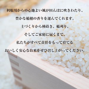 新米【令和7年産】無洗米 コシヒカリ 20kg (5kg×4) 稲敷市産 農家直送｜米 こめ コメ ごはん ご飯 [1834]