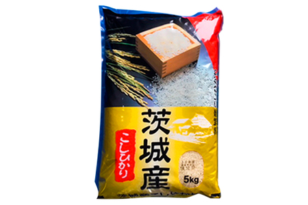 【令和7年産】お米の王様！茨城県産 コシヒカリ 白米 5kg×1袋｜おこめ 精米 こしひかり 直送 稲敷 茨城 [1901]