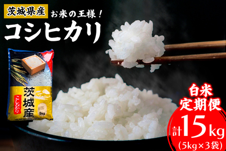 【定期便／3ヶ月 令和7年産】コシヒカリ 白米 計15kg (5kg×1袋×3ヶ月) 茨城県産 お米の王様！ [1972]