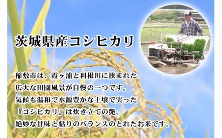 【定期便／3ヶ月 令和7年産】コシヒカリ 白米 計15kg (5kg×1袋×3ヶ月) 茨城県産 お米の王様！ [1972]