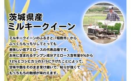 【令和7年産】ふっくらもっちり 茨城県産 ミルキークイーン 白米 5kg×1袋｜お米 おこめ 精米 直送 稲敷 茨城 [1899]
