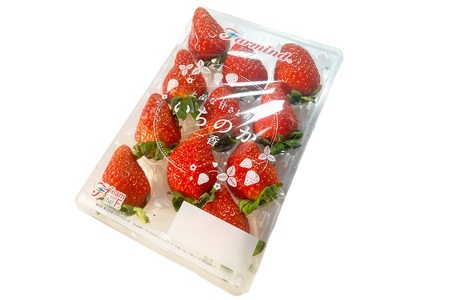 茨城県産いちご いちのか 大粒から中粒いちごパック 2パック入り箱 [1890]