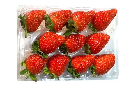 茨城県産いちご いちのか 大粒から中粒いちごパック 2パック入り箱 [1890]