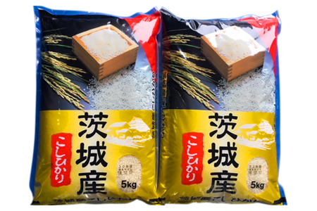 新米【令和5年産】お米の王様！茨城県産 コシヒカリ 白米 10kg (5kg×2