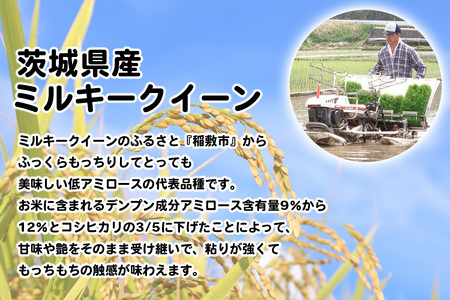 新米【定期便／3ヶ月 令和7年産】ミルキークイーン 白米 計30kg (5kg×2袋×3ヶ月) 茨城県産 ふっくらもっちり｜お米 おこめ 精米 直送 稲敷 茨城 [1801]