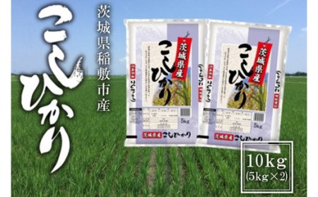 新米【定期便／3ヶ月 令和6年産】稲敷市産 コシヒカリ10kg (5kg×2袋) [1112]