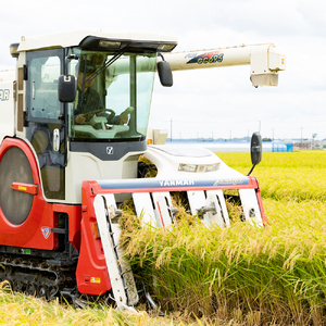 新米【定期便／3ヶ月 令和7年産】無洗米 あきたこまち (10kg×3回) 合計30kg 稲敷市産 農家直送｜米 こめ コメ ごはん ご飯 [1838]