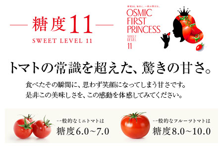 OSMIC FIRST PRINCESS 4箱セット トマト フルーツトマト ミニトマト [0513]