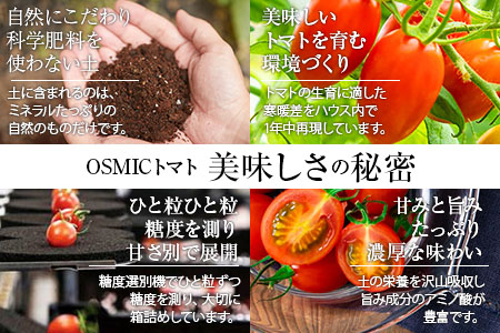 OSMIC FIRST PRINCESS 4箱セット トマト フルーツトマト ミニトマト [0513]