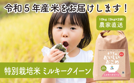 【令和5年産】特別栽培米 ミルキークイーン 10kg (5kg×2) [0906]