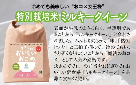 【令和5年産】特別栽培米 ミルキークイーン 10kg (5kg×2) [0906]